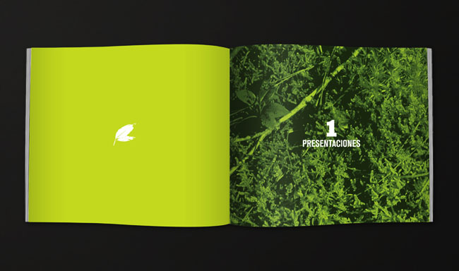 以大自然為主題的畫冊設(shè)計(jì)欣賞