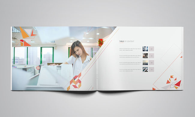 企業(yè)畫冊設計欣賞