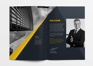 一本深灰與黃色搭配非常漂亮的企業(yè)畫冊設(shè)計(jì)