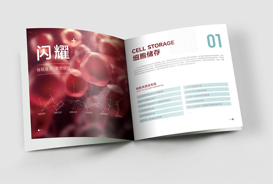 銀豐生物集團(tuán)企業(yè)畫冊設(shè)計(jì)