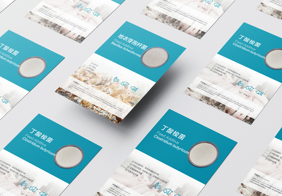 農(nóng)業(yè)畜牧業(yè)畫冊設(shè)計、封套單頁設(shè)計