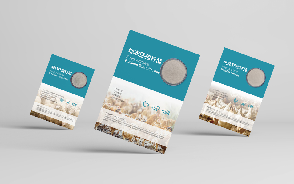 農(nóng)業(yè)畜牧業(yè)畫冊設(shè)計、封套單頁設(shè)計